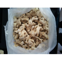 Good quality agricultural product varieties of ginger for sale